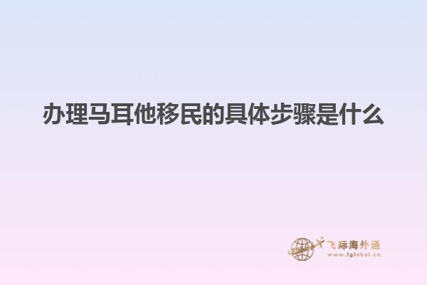 办理马耳他移民的具体步骤是什么