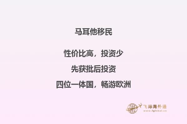 办理马耳他移民的具体步骤是什么