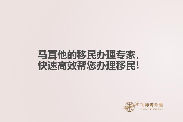 马耳他的移民办理专家，快速高效帮您办理移民！