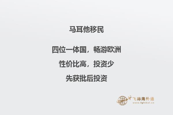 马耳他的投资移民计划值得考虑吗