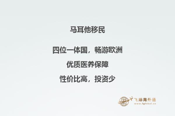 移民马耳他新政策：变革与机遇的新时代
