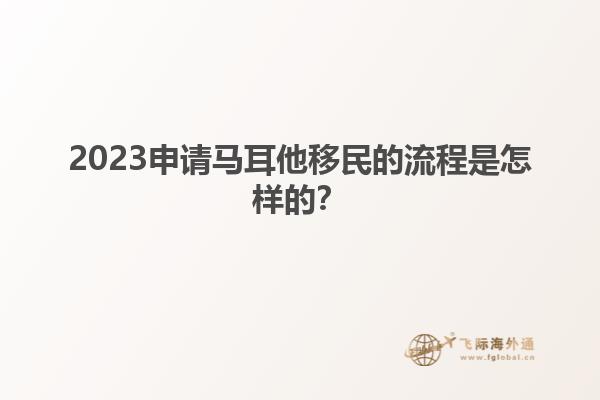 2023申请马耳他移民的流程是怎样的？