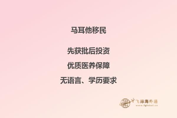 马耳他移民总费用多少钱？