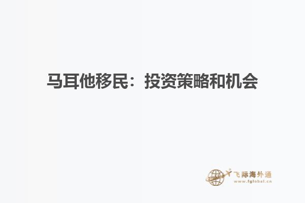 马耳他移民：投资策略和机会