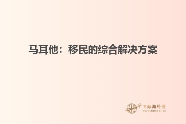 马耳他：移民的综合解决方案