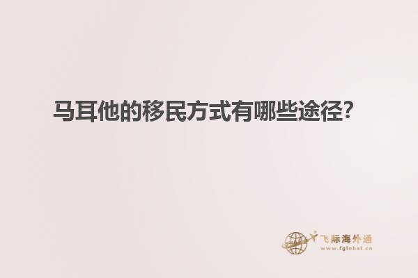 马耳他的移民方式有哪些途径？