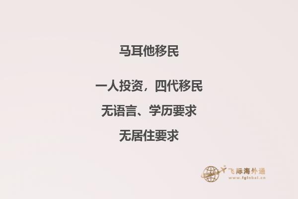 马耳他的移民方式有哪些途径？