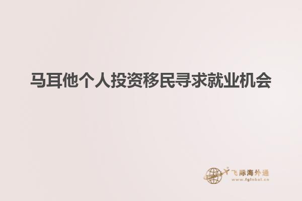 马耳他个人投资移民寻求就业机会