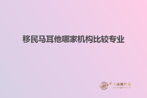 移民马耳他哪家机构比较专业