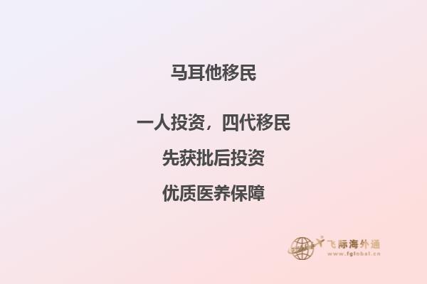 马耳他移民过程的费用大概是多少呢？马耳他移民新政策详解！