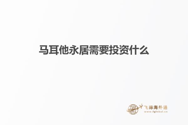 马耳他永居需要投资什么