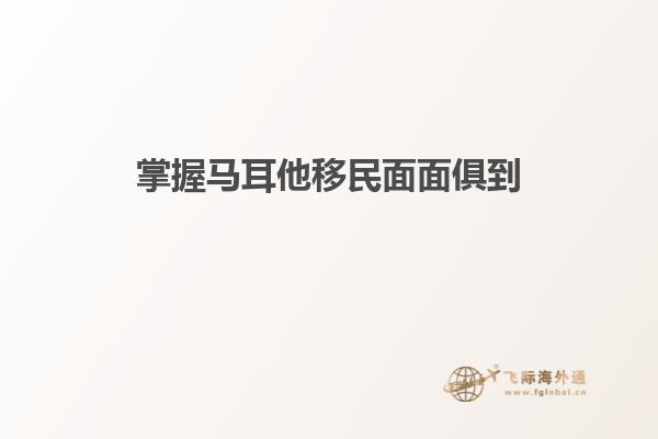 掌握马耳他移民面面俱到