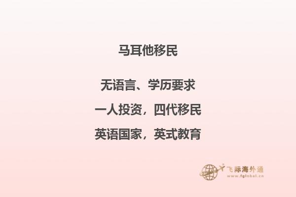 掌握马耳他移民面面俱到
