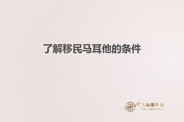 了解移民马耳他的条件