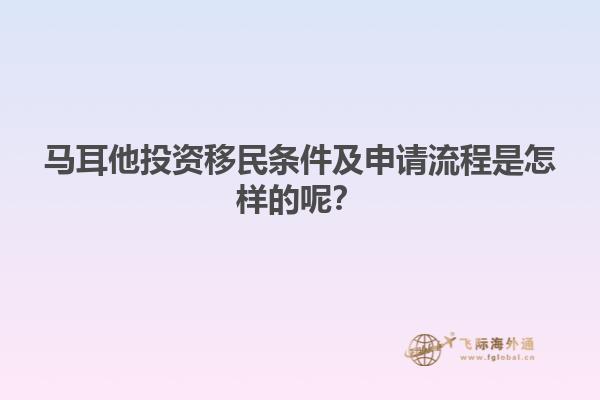 马耳他投资移民条件及申请流程是怎样的呢？