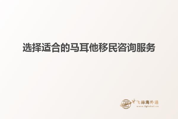 选择适合的马耳他移民咨询服务