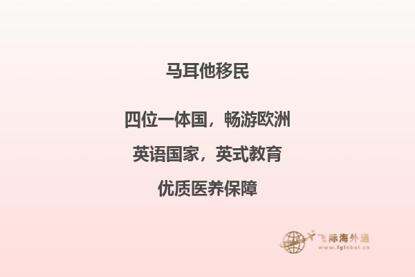 选择适合的马耳他移民咨询服务