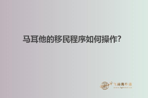 马耳他的移民程序如何操作？