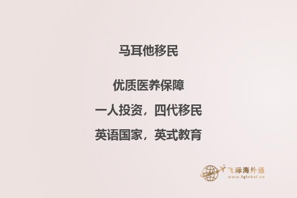 马耳他购房移民咨询费用解析