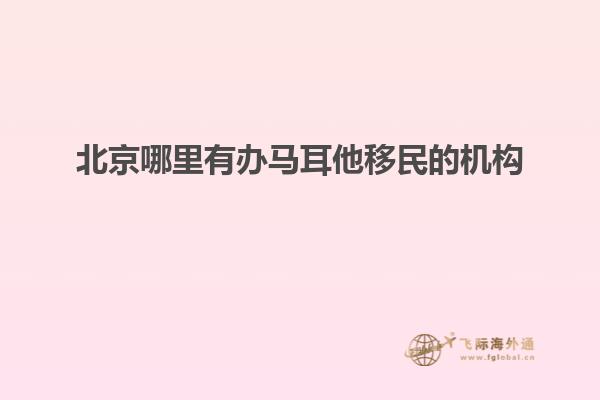北京哪里有办马耳他移民的机构