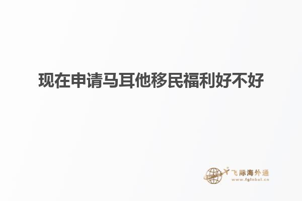 现在申请马耳他移民福利好不好