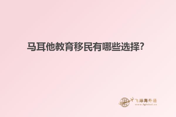 马耳他教育移民有哪些选择？