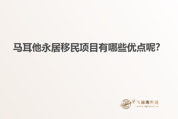 马耳他永居移民项目有哪些优点呢？