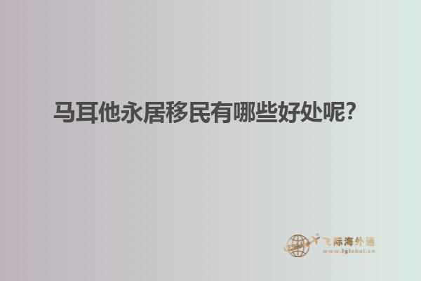 马耳他永居移民有哪些好处呢？