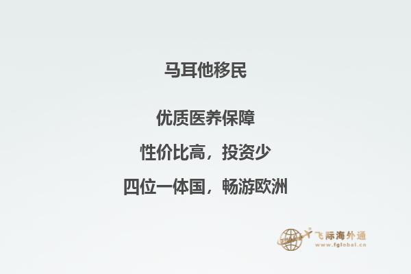 移民马耳他子女有保障吗
