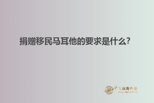 捐赠移民马耳他的要求是什么？