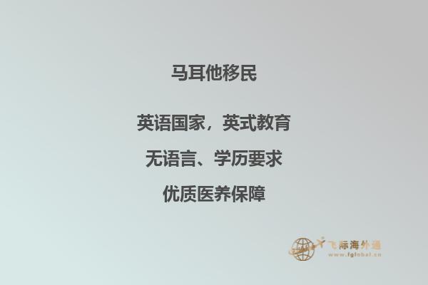 捐赠移民马耳他的要求是什么？