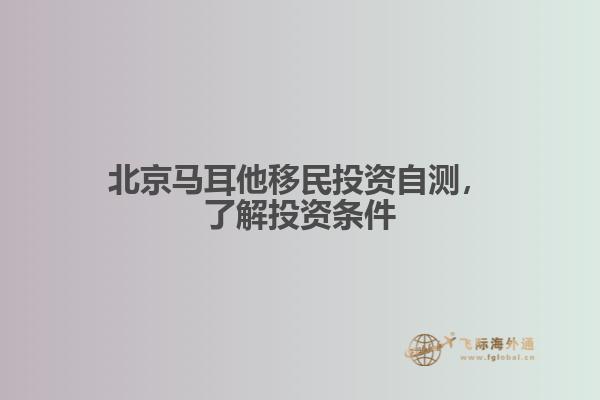 北京马耳他移民投资自测，了解投资条件