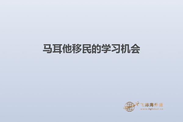 马耳他移民的学习机会