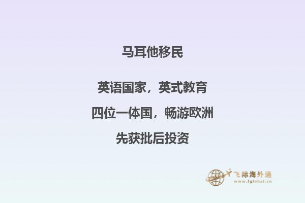 马耳他移民的学习机会