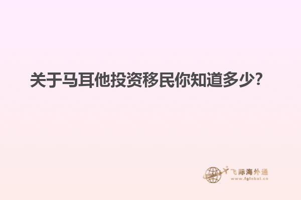 关于马耳他投资移民你知道多少？