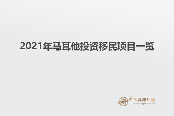 2021年马耳他投资移民项目一览
