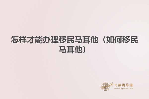 怎样才能办理移民马耳他（如何移民马耳他）