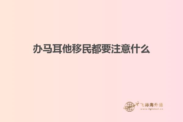 办马耳他移民都要注意什么