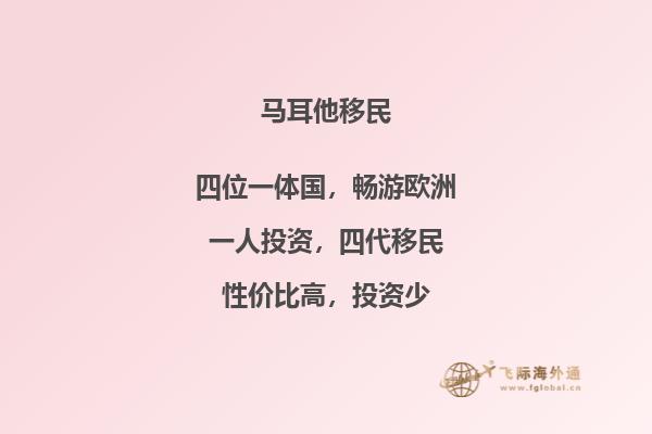 办马耳他移民都要注意什么