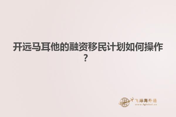 开远马耳他的融资移民计划如何操作？