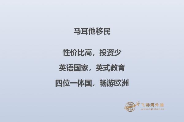开远马耳他的融资移民计划如何操作？