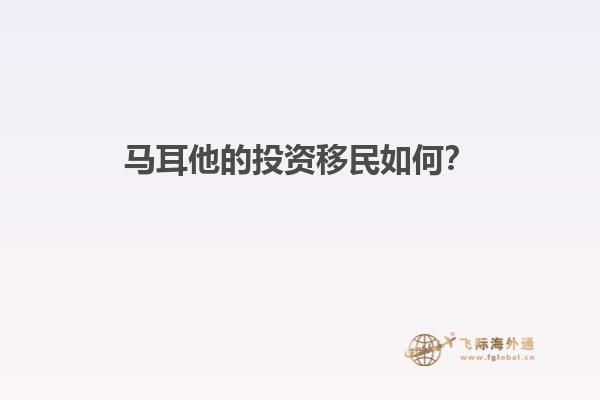 马耳他的投资移民如何？