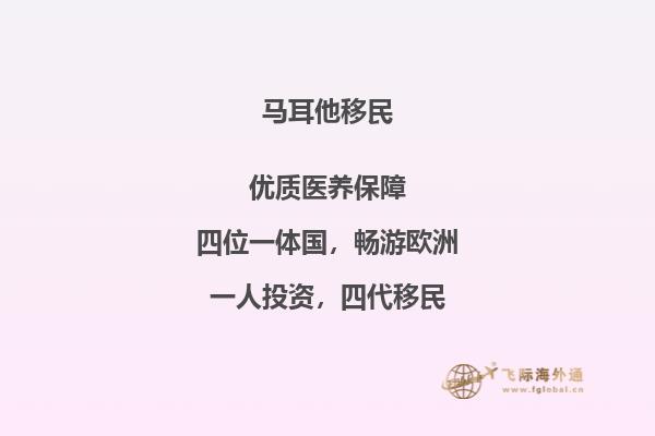 马耳他国债移民：潜在投资风险