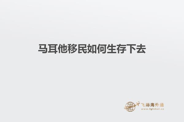马耳他移民如何生存下去