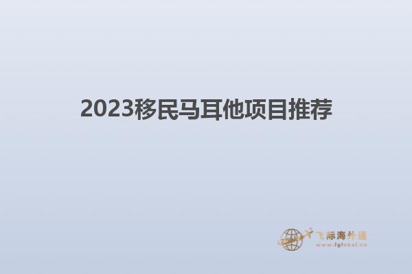 2023移民马耳他项目推荐
