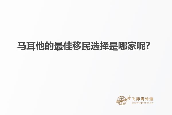 马耳他的最佳移民选择是哪家呢？