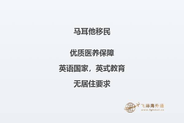 马耳他的最佳移民选择是哪家呢？