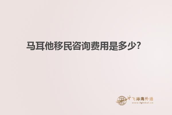 马耳他移民咨询费用是多少？