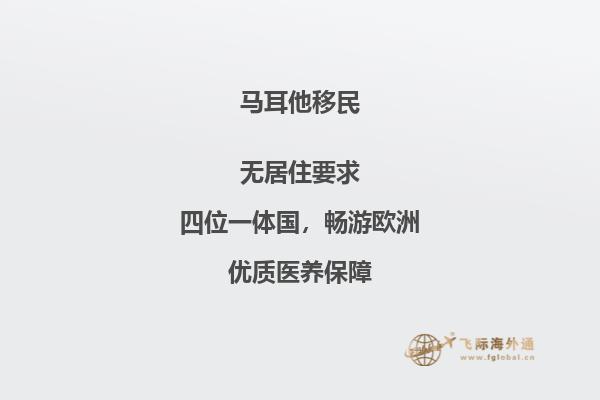 马耳他移民后可以干什么工作