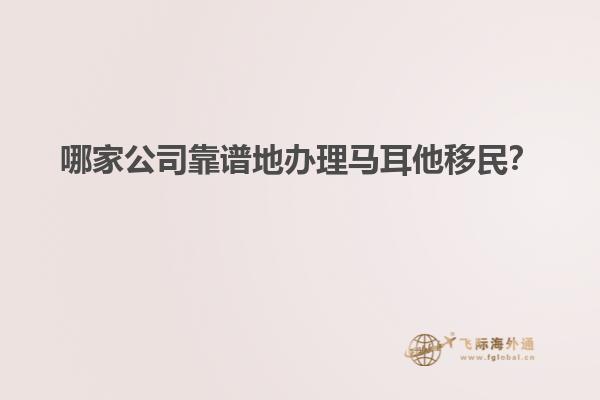 哪家公司靠谱地办理马耳他移民？